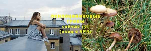 2c-b Алзамай