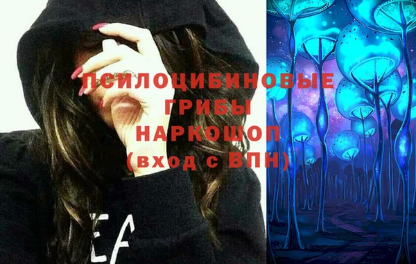 индика Валуйки